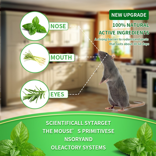 12 Pack Peppermint Oil Mouse Rat Snake Repellent Natural Skunk for Yard Garden House Shed Indoor Outdoor Safe for Pet and Human