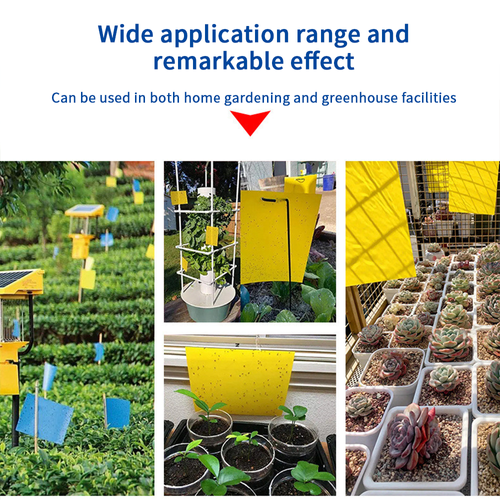 Double-sided Strong Glue Yellow Sticky Insect Board Flying Trap for Indoor, Outdoor,Farm,Garden,Greenhouse,Orchord.