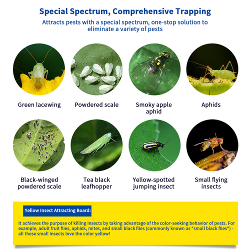 Double-sided Strong Glue Yellow Sticky Insect Board Flying Trap for Indoor, Outdoor,Farm,Garden,Greenhouse,Orchord.
