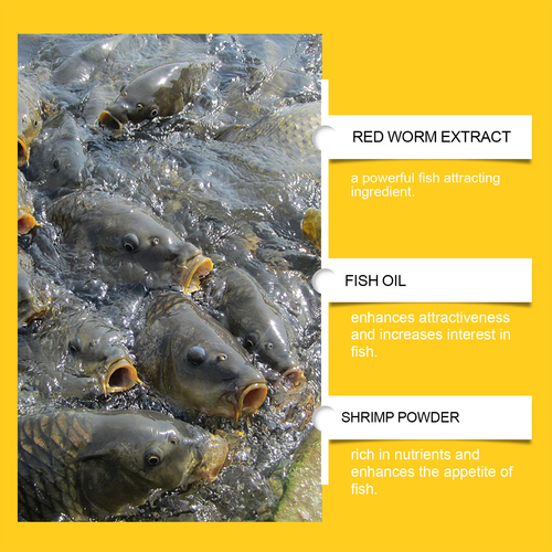 Fishing Bait Liquid Attractant Fish Point Scent Additive for Carp Bass Trout