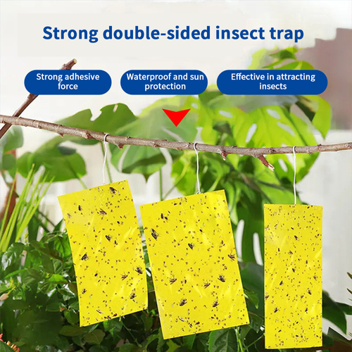 Double-sided Strong Glue Yellow Sticky Insect Board Flying Trap for Indoor, Outdoor,Farm,Garden,Greenhouse,Orchord.