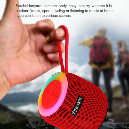 Wireless Portable Bluetooth Speaker