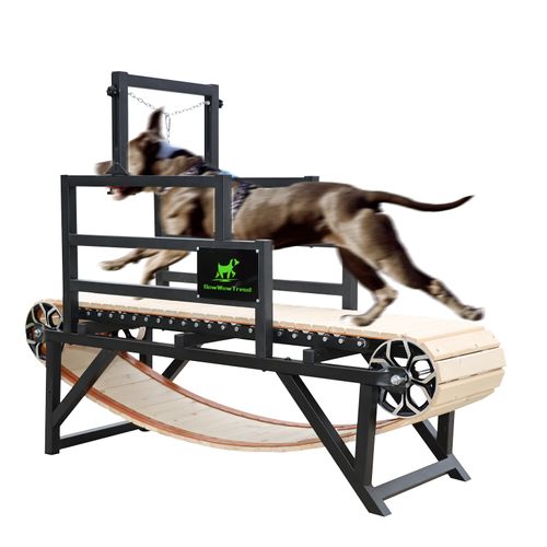 BowWowTread Dog Treadmill, Pet Treadmill Small Dogs, Dog Trotter Running Machine Exercise Equipment, Dogs Health Toys, for Dog Indoor Home 220lbs Capacity