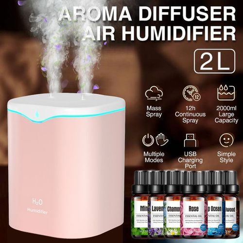 2L Double Spray Humidifier