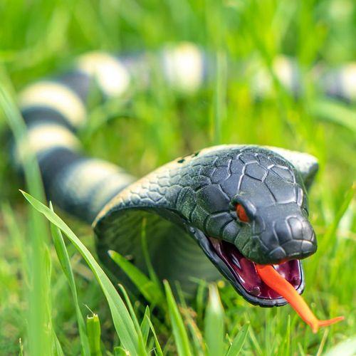 🐍Tricky Toys -Remote control Naja snake toy