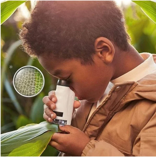 🌲Children's Portable Pocket Microscope❤