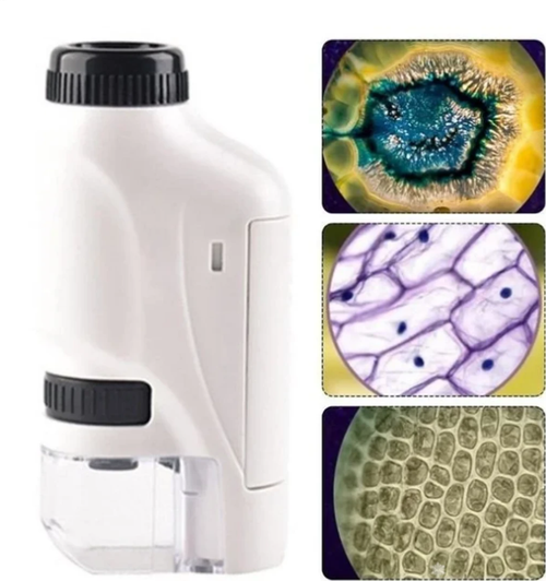 🌲Children's Portable Pocket Microscope❤