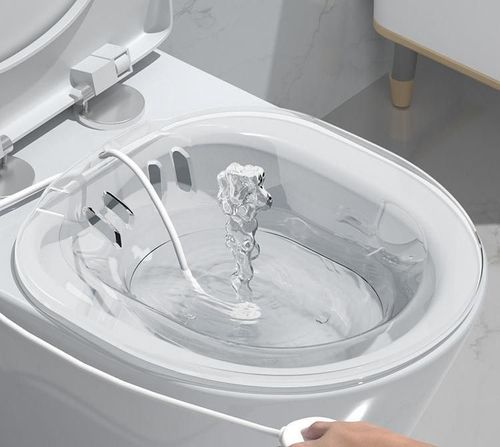 Transparent Toilet Steam Seat Bathtub