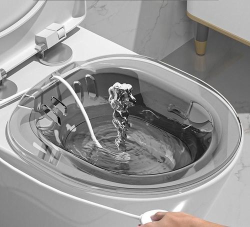 Transparent Toilet Steam Seat Bathtub