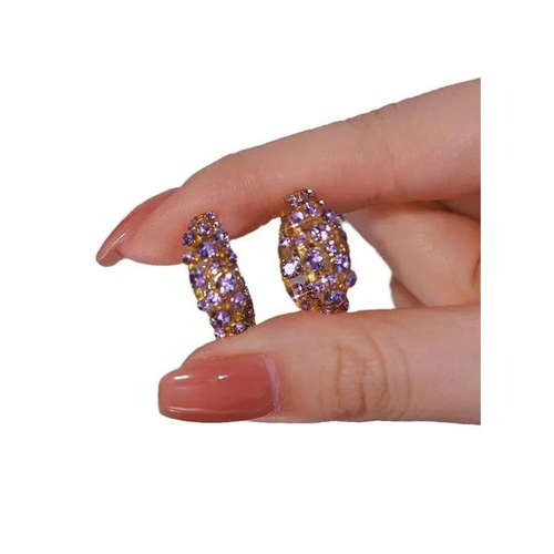 Purple Full Diamond Zircon Earrings