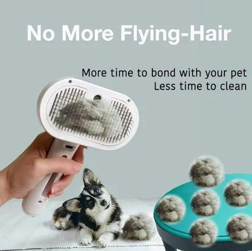 Pet Electric Spray Massage Comb, White