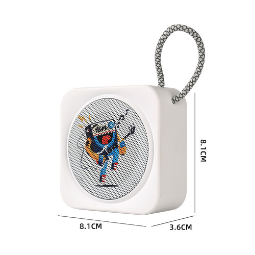 Outdoor portable Bluetooth speaker