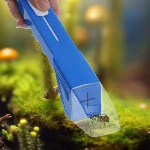 Insect Catcher Spider Catcher for Kids Insect Observation for Small Insects Bug Catcher for Indoor Outdoor