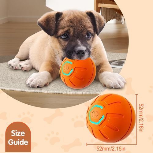 Interactive rolling dog ball toy Boredom-relieving cat teaser toy