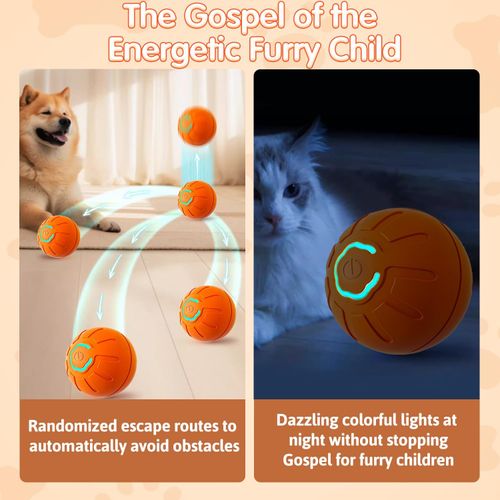 Interactive rolling dog ball toy Boredom-relieving cat teaser toy