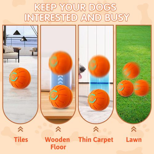 Interactive rolling dog ball toy Boredom-relieving cat teaser toy