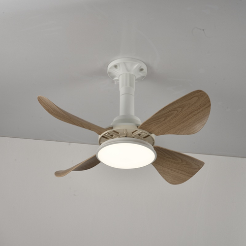 LED ceiling fan chandelier simple frequency conversion design AC acrylic remote control living room