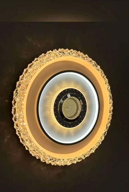 Simple modern bluetooth music ceiling lamp two-color seven-tone lighting bedroom hotel party hall indoor lamp