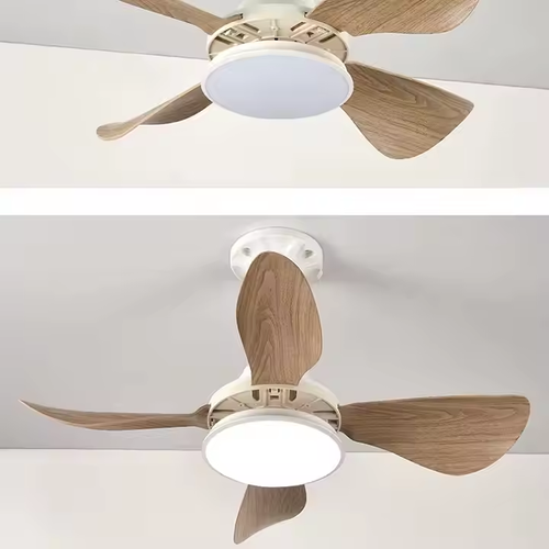 LED ceiling fan chandelier simple frequency conversion design AC acrylic remote control living room
