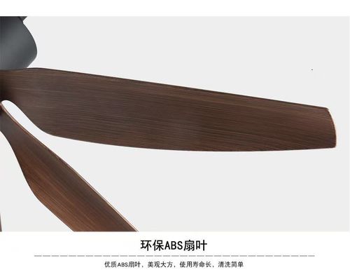 Modern Style Indoor Ceiling Fan Light 5 Straight Wooden Blades 6-Speed ​​Reversible DC Motor 3-Color Dimmable LED Remote Control