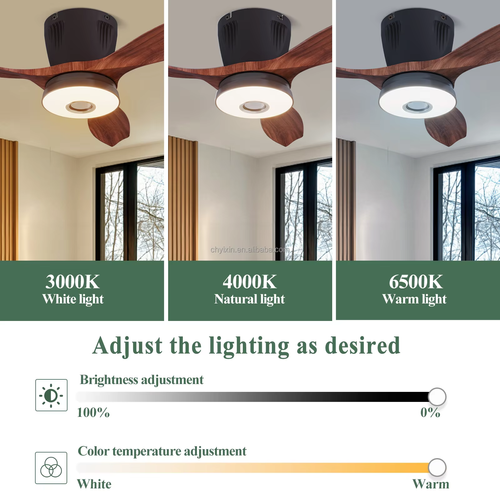 Fan Light Remote Control Bluetooth Speaker RGB Rainbow Rhythm Fully Dimmable 3-Speed ​​Adjustment LED Ceiling Fan Light