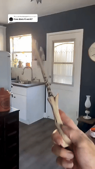 Harry Potter's Flame-Throwing Wand