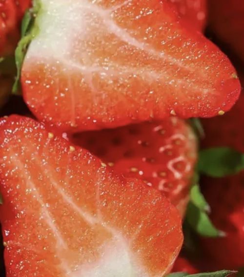 🔥All-year-round strawberry seeds🍓