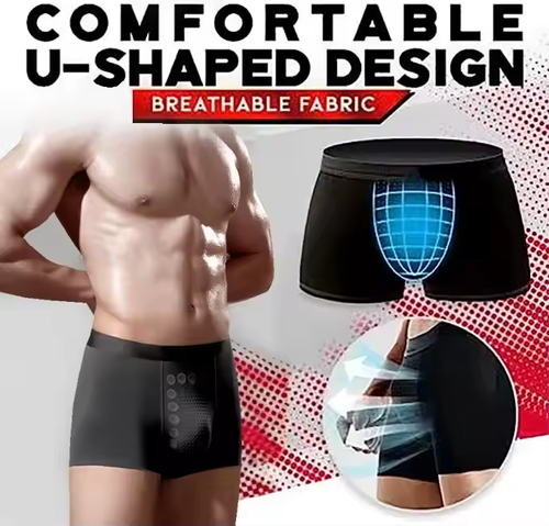 Men's Ice Silk Briefs Boxers