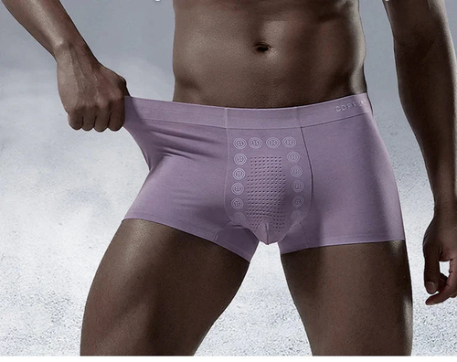 Men's Ice Silk Briefs Boxers