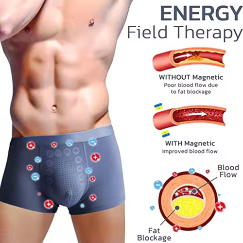 Men's Ice Silk Briefs Boxers