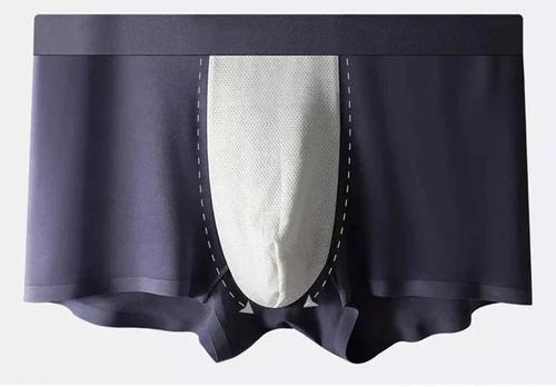 Men's Ice Silk Briefs Boxers