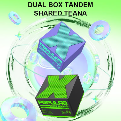 Mini Bluetooth Speaker