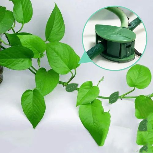 Self Adhesive Plant Clamp Clip Green Dill Fixer Garden Decorative Plant Climbing Wall Buckle Plant Clamp Clip Climbing