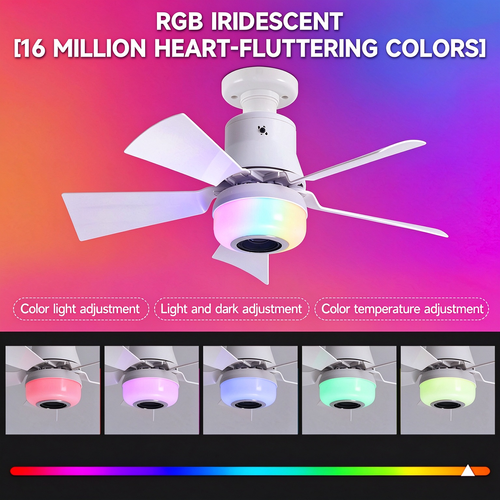 Multi-functional Music Fan Light