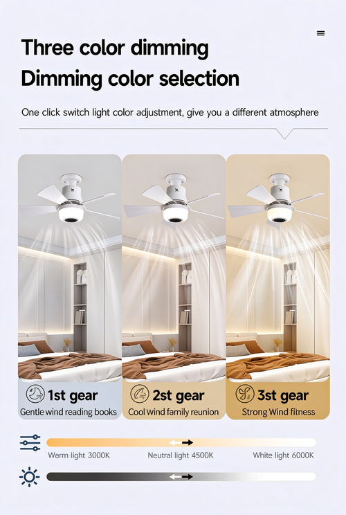 Multi-functional Music Fan Light