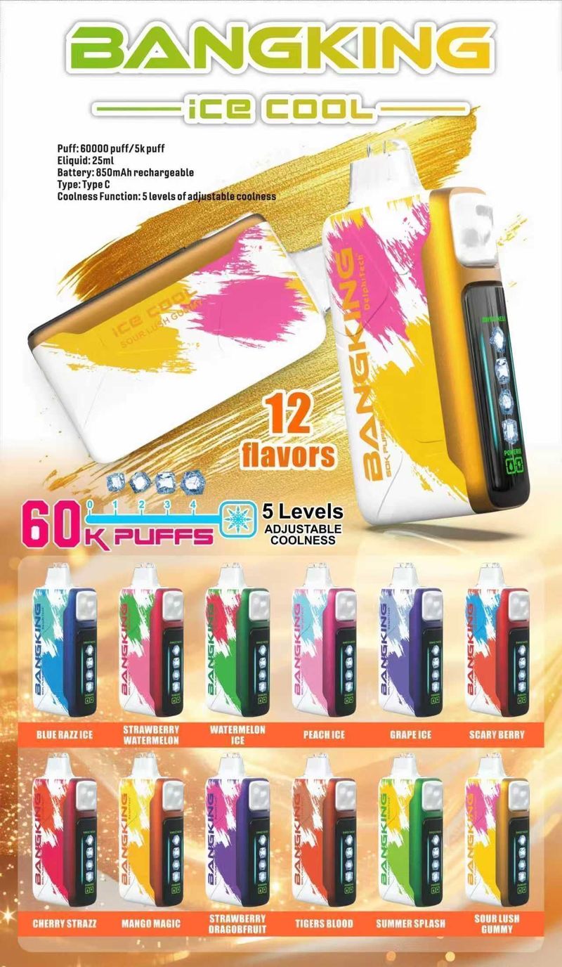 Bang King拋棄式電子煙 可充電搭配60000口，外出與輪換更順手