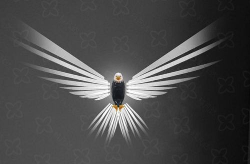 Eagle wall light