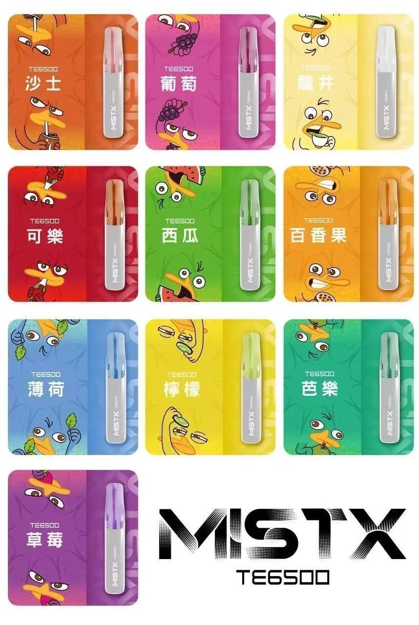 MIST X鴨嘴獸 6500口拋棄式 一次性霧化 操作簡單 即開即抽
