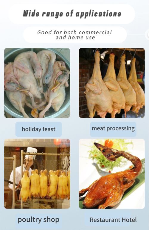 A convenient and easy-to-use electric poultry plucking machine