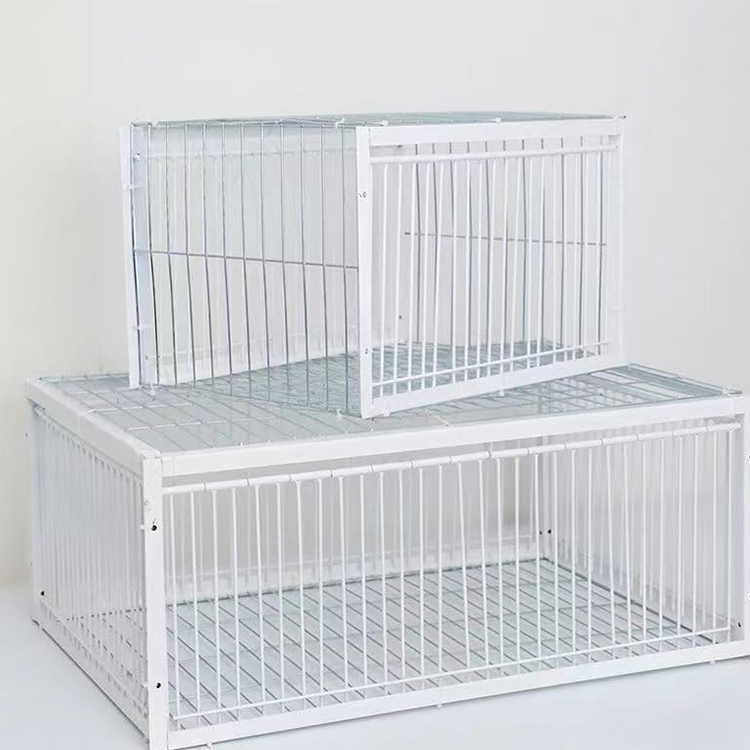 Metal wire pigeon trap cage with automatic trapping door, suitable for birds, chickens, small animals, and pets packaged in a box.