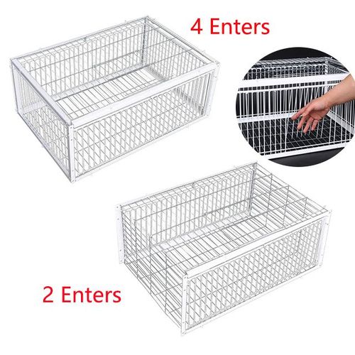 Metal wire pigeon trap cage with automatic trapping door, suitable for birds, chickens, small animals, and pets packaged in a box.