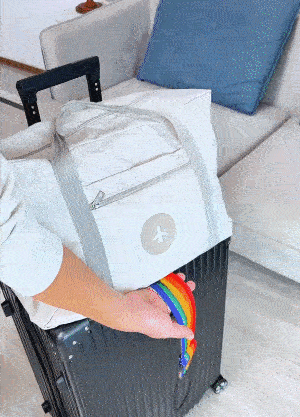 Luggage Connector Straps