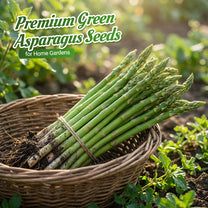 🔥BUY 1 GET 1 FREE 💕Premium groene aspergezaden voor de moestuin