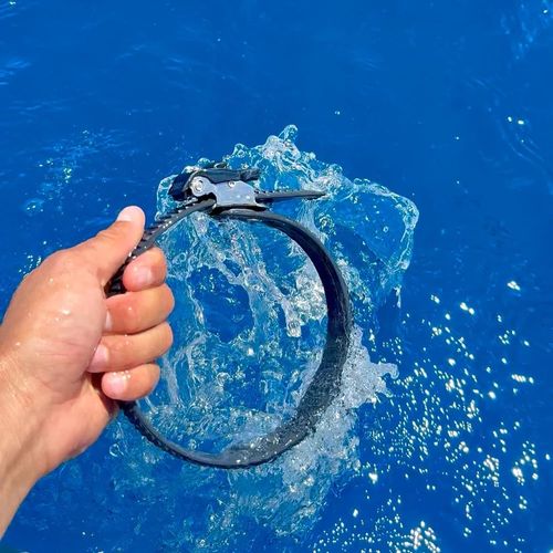 Stainless Steel Grip Lock Straps