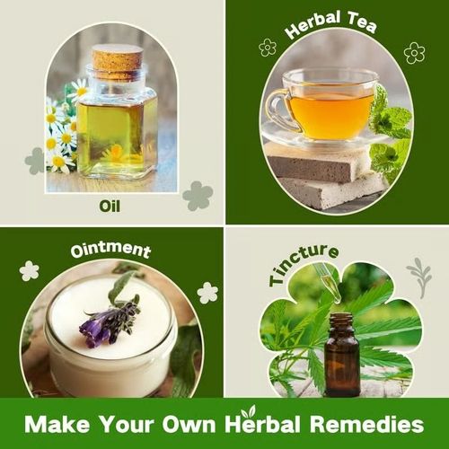 Medicinal Herb Seeds