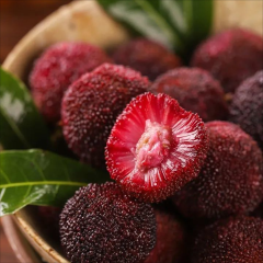 🔥🔥HIMALAYAN BAYBERRY⭐ (KAPHAL) SEEDS（100 Seeds）