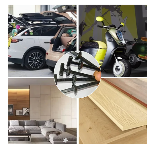 100 PCS🔥🔥Most Customers Purchase🎁 NYLON UNIVERSAL CABLE TIE BUCKLE