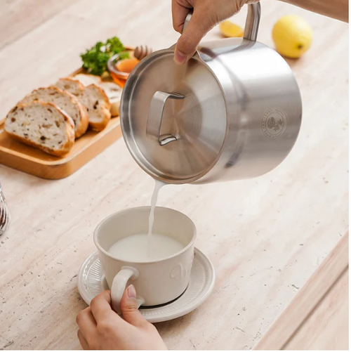 Stainless Steel Fryer