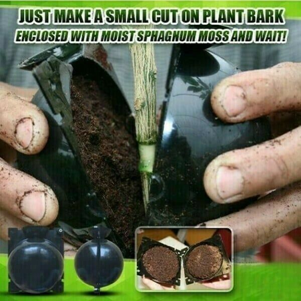 🎉🎉🎉Summer Sale-Plant Root Growing Box（15Pcs）