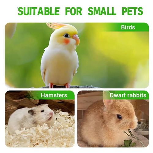Bird Travel Cage
